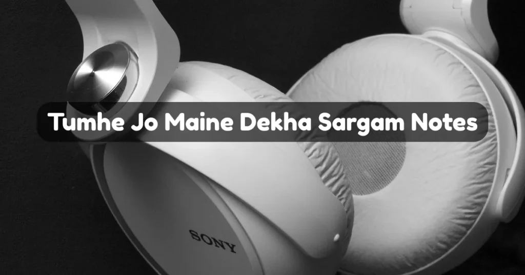Tumhe Jo Maine Dekha Sargam Notes