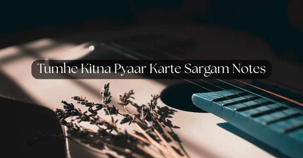 Tumhe Kitna Pyaar Karte Sargam Notes