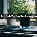 Udein Jab Jab Zulfen Teri Sargam Notes
