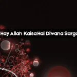 Ye Ladka Hay Allah Kaisa Hai Diwana Sargam Notes