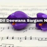 Yeh Dil Deewana Sargam Notes
