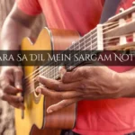 Zara Sa Dil Mein Sargam Notes