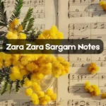 Zara Zara Sargam Notes